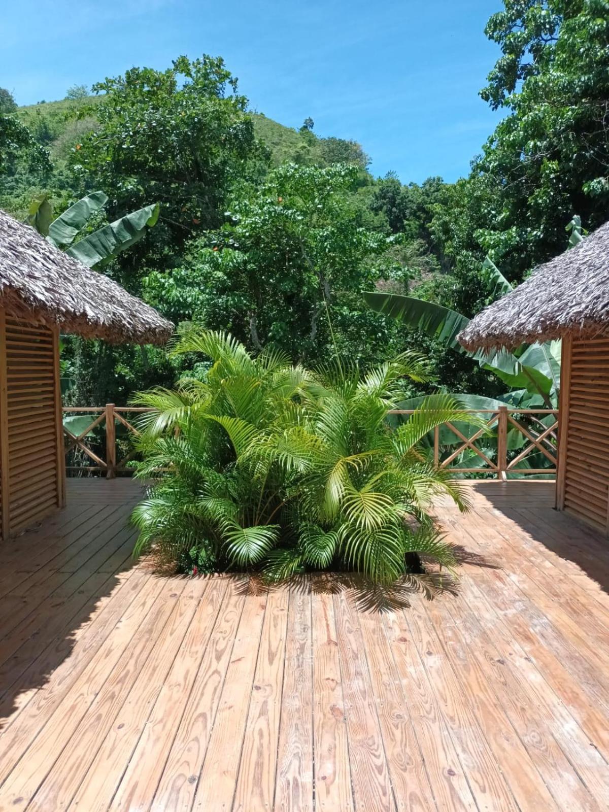 Samo Eco Lodge ลาสแตร์เรนาส ภายนอก รูปภาพ