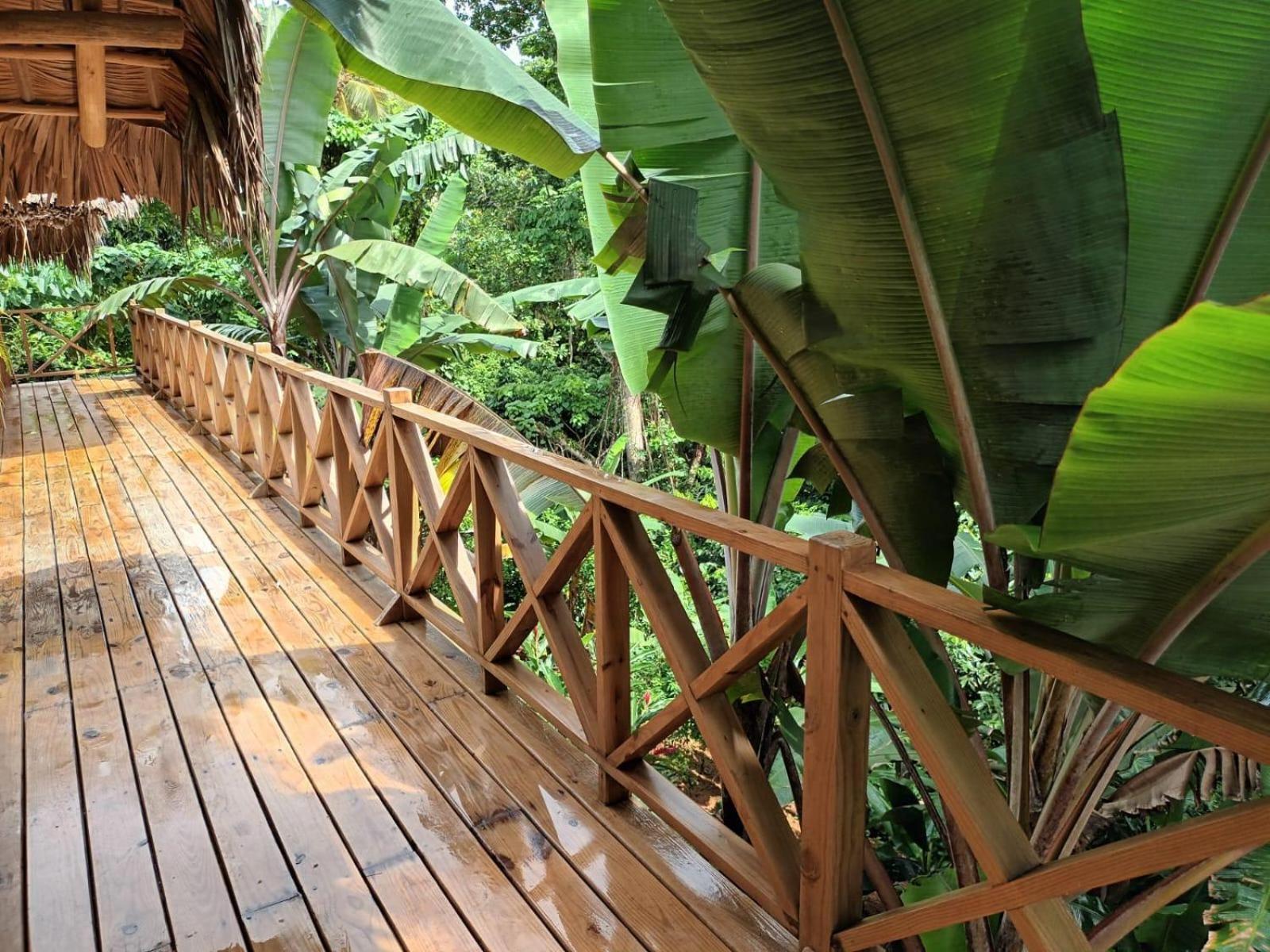 Samo Eco Lodge ลาสแตร์เรนาส ภายนอก รูปภาพ