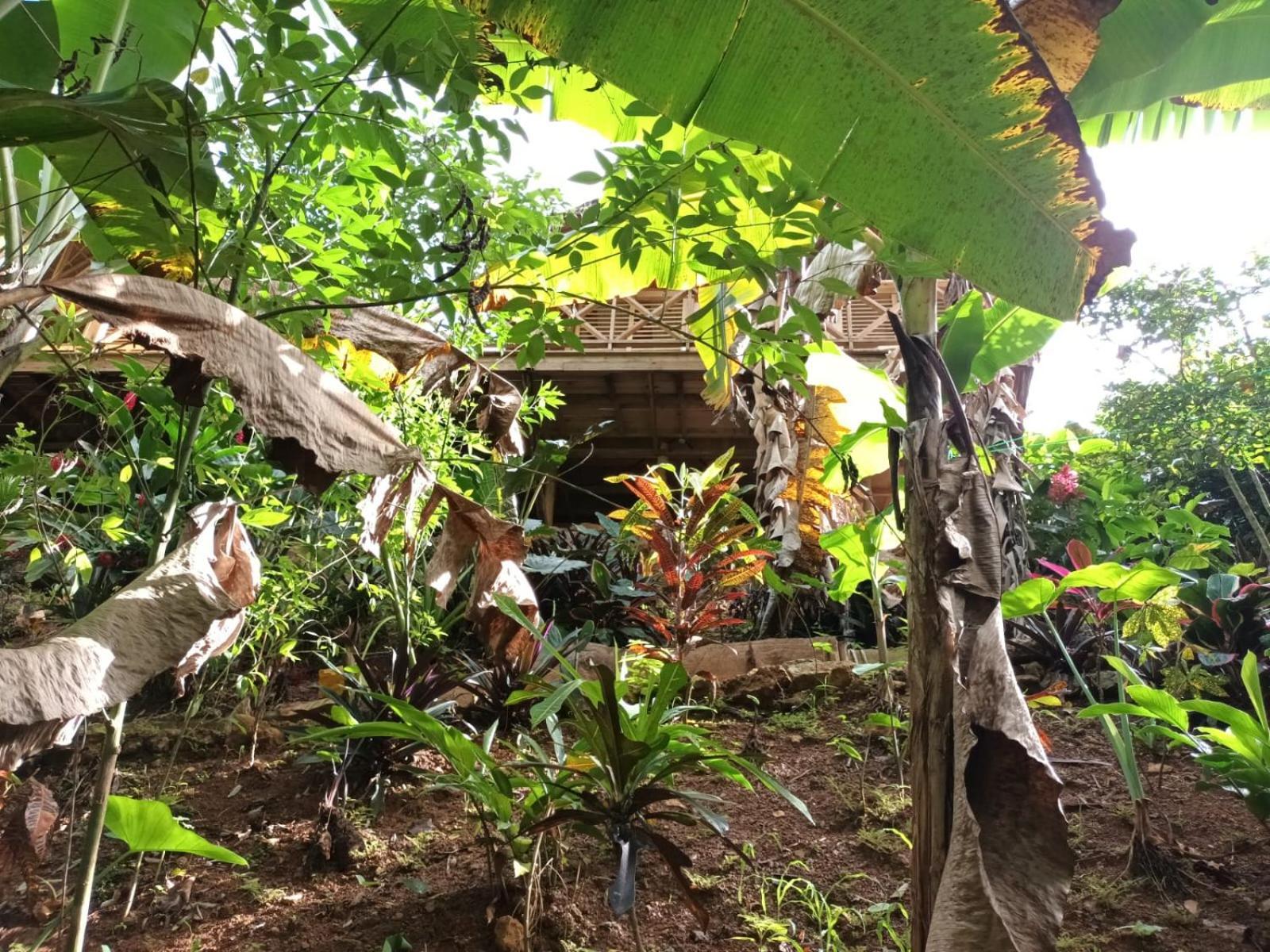Samo Eco Lodge ลาสแตร์เรนาส ภายนอก รูปภาพ