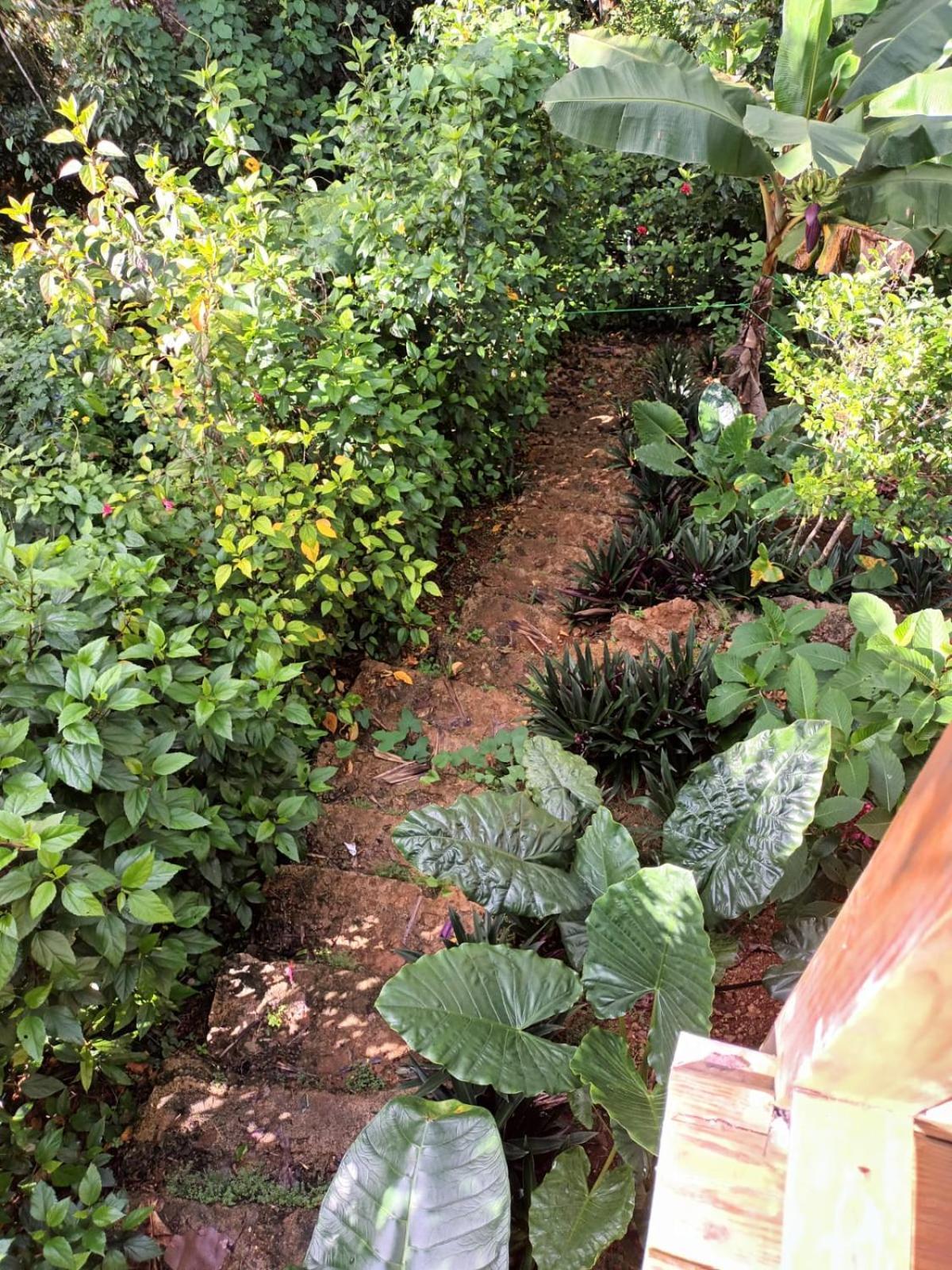 Samo Eco Lodge ลาสแตร์เรนาส ภายนอก รูปภาพ