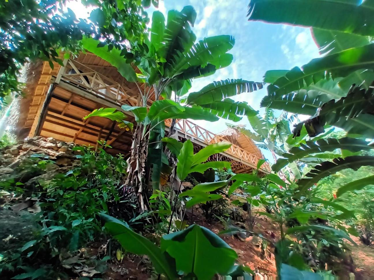 Samo Eco Lodge ลาสแตร์เรนาส ภายนอก รูปภาพ